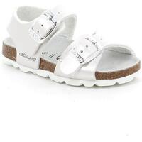 Sapatos Criança Sandálias Grunland DSG-SB0392 Branco