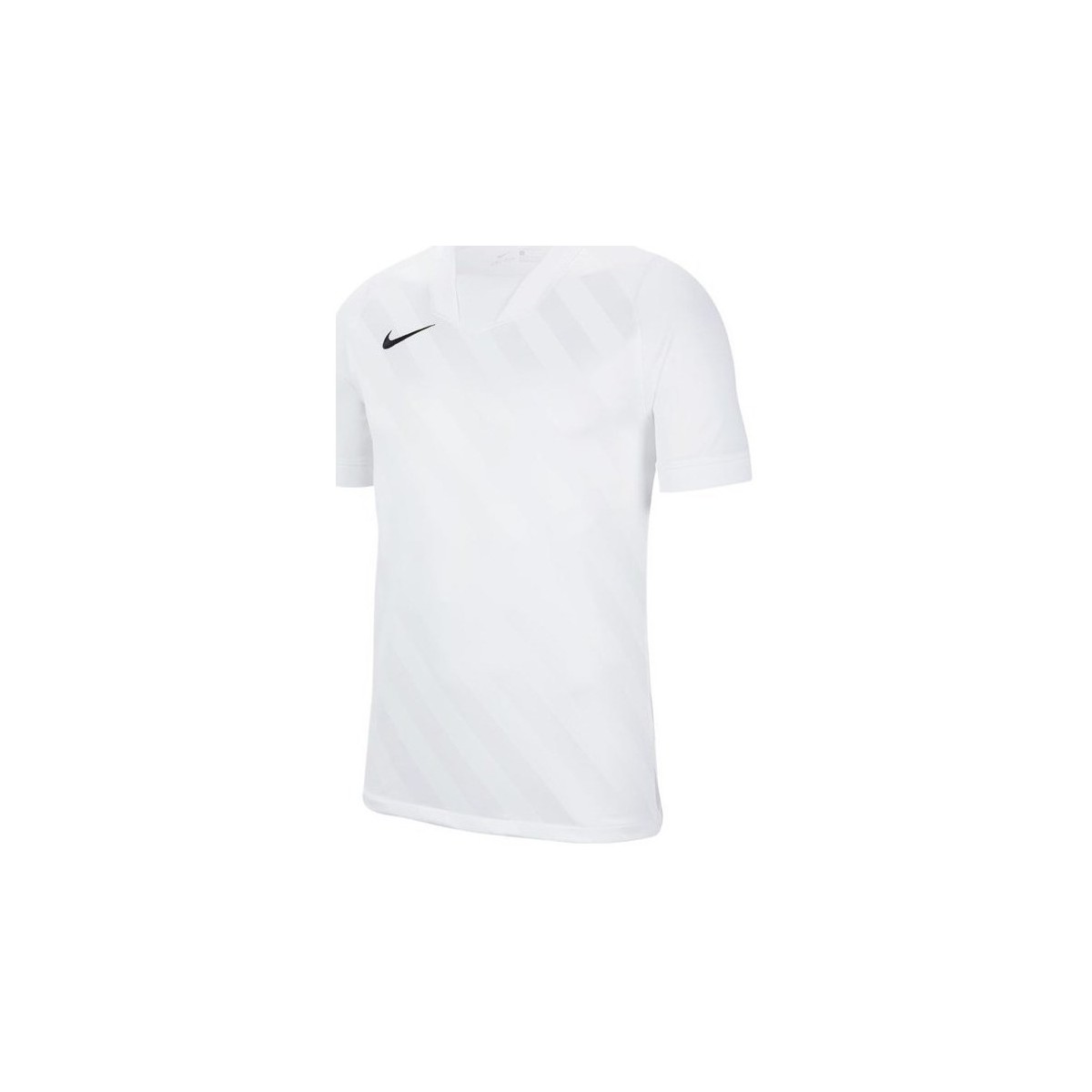 Textil Homem T-Shirt mangas curtas Nike Challenge Iii Branco