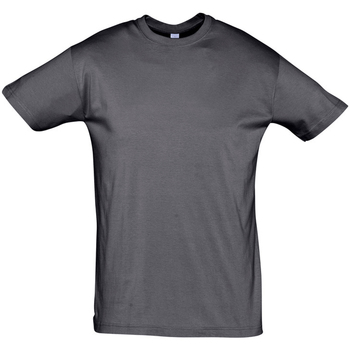 Textil Homem T-Shirt mangas curtas Sols REGENT COLORS MEN Cinza