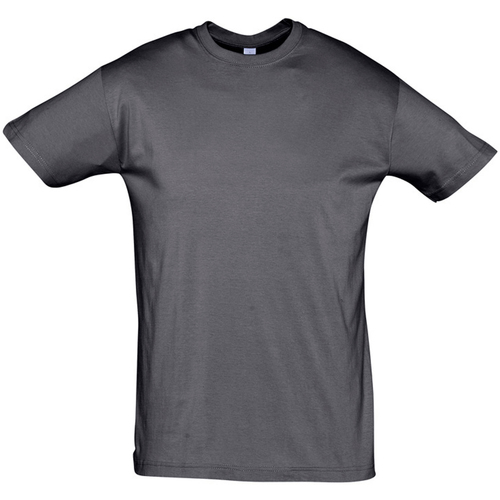 Textil T-Shirt mangas curtas Sols REGENT COLORS MEN-CAMISETA hombre  CUELLO REDONDO de algodón Cinza