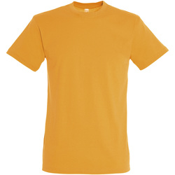 Textil Homem T-Shirt mangas curtas Sols REGENT COLORS MEN Naranja
