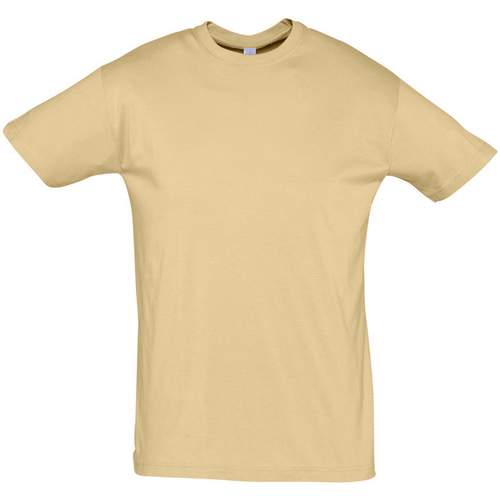 Textil T-Shirt mangas curtas Sols REGENT COLORS MEN-CAMISETA hombre  CUELLO REDONDO de algodón Castanho