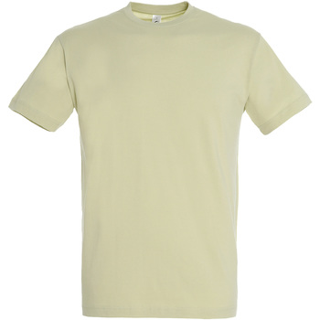Textil T-Shirt mangas curtas Sols REGENT COLORS MEN-CAMISETA hombre  CUELLO REDONDO de algodón Verde