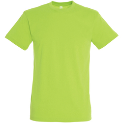 Textil Homem T-Shirt mangas curtas Sols REGENT COLORS MEN Verde
