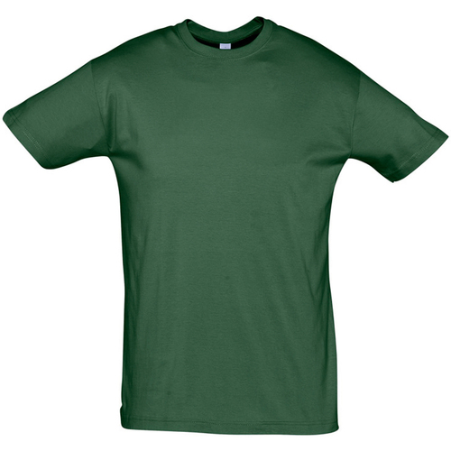 Textil T-Shirt mangas curtas Sols REGENT COLORS MEN Verde