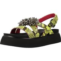 Sapatos Mulher Sandálias 181 NIGELLA Multicolorido