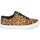 Sapatos Mulher Sapatilhas Timberland SKYLA BAY LEATHER OXFORD Leopardo