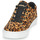 Sapatos Mulher Sapatilhas Timberland SKYLA BAY LEATHER OXFORD Leopardo