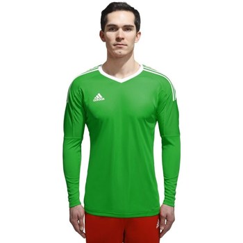 Textil Homem T-shirt mangas compridas adidas Originals Z Adizero Goalkeeper Verde