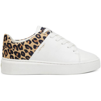 Sapatos Mulher Sapatilhas Ed Hardy - Wild low top white leopard Branco