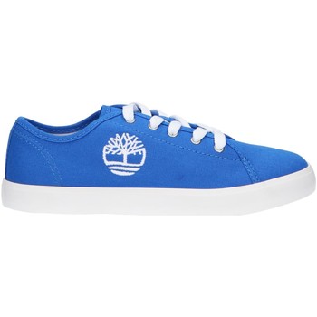 Sapatos Rapaz Sapatilhas Timberland A1TMS NEWPORT Azul