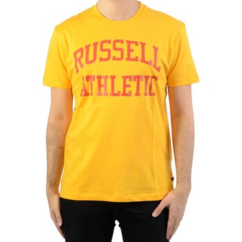 Textil Homem T-Shirt mangas curtas Russell Athletic 131041 Ouro