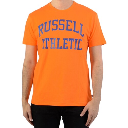 Textil Homem T-Shirt panel curtas Russell Athletic 131037 Laranja