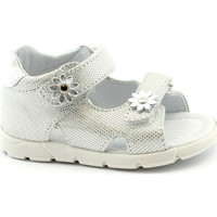 Sapatos Criança Sandálias Balocchi BAL-E20-103113-ARG-b Prata