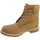 Sapatos Mulher Sapatilhas de cano-alto Timberland 6 IN Premium Boot W Castanho
