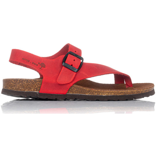 Interbios SAPATILHAS  7162 Vermelho