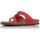 Sapatos Mulher Sandálias Interbios SAPATILHAS  7119 Vermelho