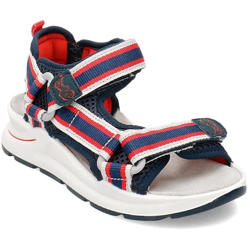 Sapatos Criança Sandálias Primigi 5394200 Vermelho, Branco, Azul marinho