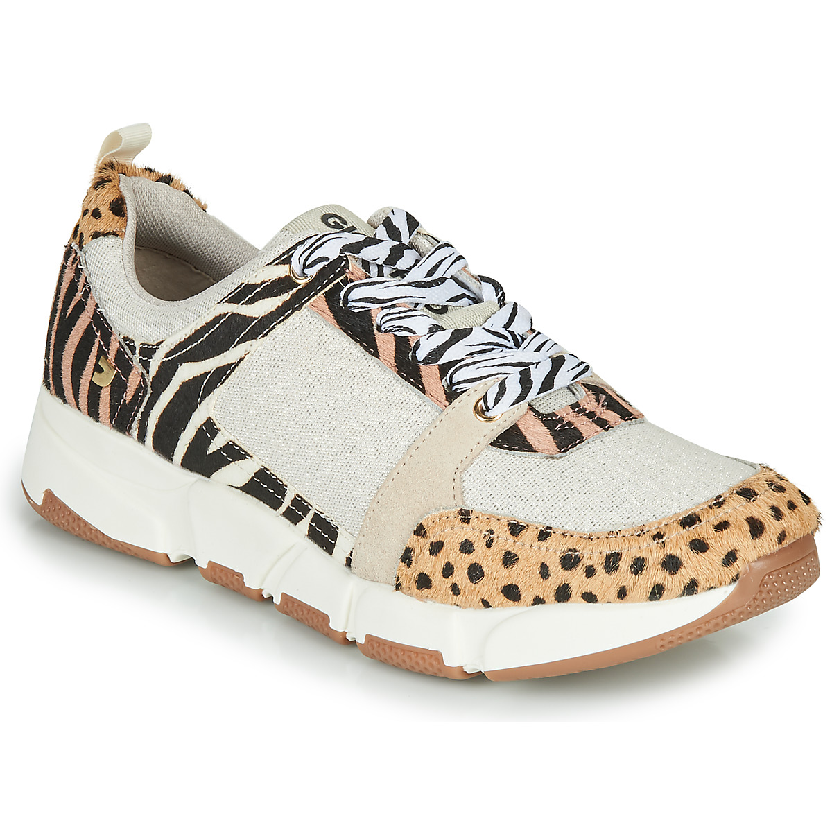 Sapatos Mulher Sapatilhas Gioseppo CREAZZO Leopardo