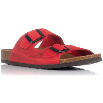 Sapatos Mulher Sandálias Interbios SAPATILHAS  7206 Vermelho