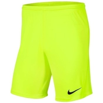 Textil Rapaz Calças curtas Nike plains JR Park Iii Knit Verde