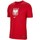 Textil Rapaz T-Shirt mangas curtas Nike JR Polska Crest Vermelho