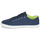 Sapatos Criança Sapatilhas Timberland NEWPORT BAY LEATHER OX Azul