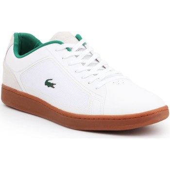 Sapatos Homem Sapatilhas Lacoste touch Endliner 116 7-31SPM0041001 white