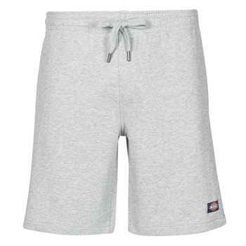 Textil Homem Shorts / Bermudas Dickies CHAMPLIN Cinza