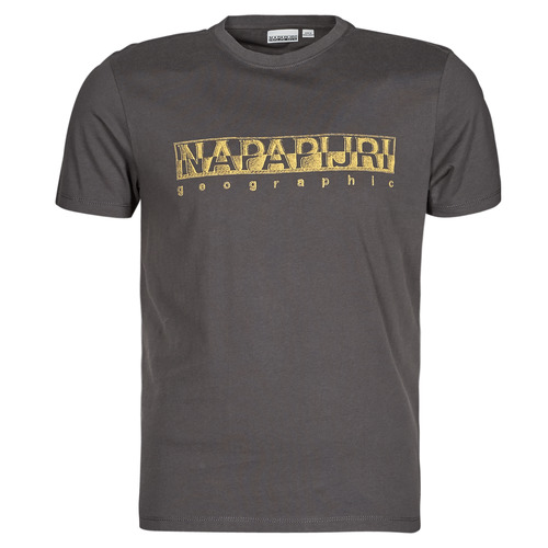 Textil Homem T-Shirt mangas curtas Napapijri SALLAR SS Cinza / Escuro