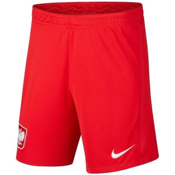 Textil Homem Calças curtas Nike Heat Away Nike LeBron XIs Vermelho