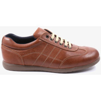 Sapatos Homem Sapatilhas Traveris 24102 Castanho