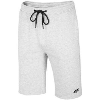 Textil Homem Shorts / Bermudas 4F SKMD001 Cinzento