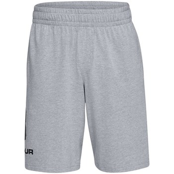 Textil Homem Shorts / Bermudas Under Armour Sportstyle Cotton Logo Cinzento