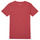 Textil Rapariga T-Shirt mangas curtas Name it NKFTHULIPPA Vermelho