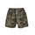 Textil Rapaz smock Shorts / Bermudas Quiksilver TAXER WS Cáqui