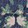 Textil Rapariga Macacões/ Jardineiras Roxy IN THE MOUNTAIN Multicolor