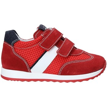Sapatos Criança Sapatilhas NeroGiardini P923451M Vermelho