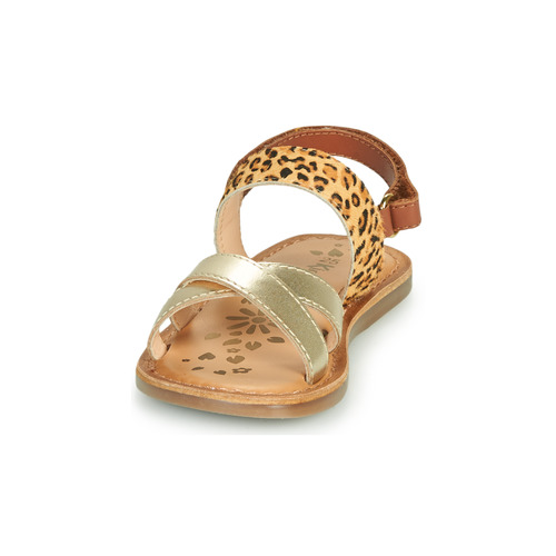 Kickers DYACROSS Ouro / Leopardo
