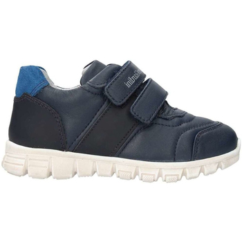 Sapatos Criança Sapatilhas NeroGiardini A823300M Azul