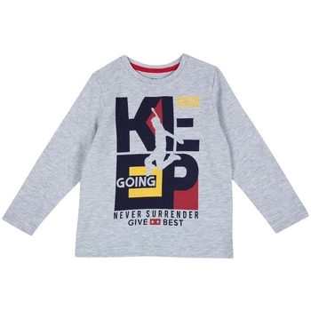 Textil Criança T-shirt mangas compridas Chicco 09006867000000 Cinzento