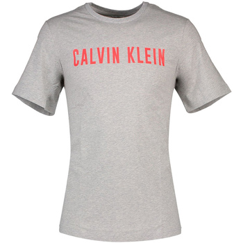 Textil Homem T-Shirt mangas curtas Calvin Klein Jeans 00GMF8K160 Cinza