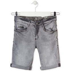 Textil Criança Shorts / Bermudas Losan 013-9002AL Cinzento