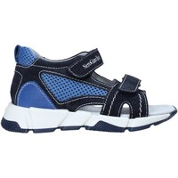 Sapatos Criança Sandálias NeroGiardini E023880M Azul
