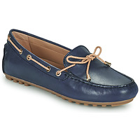 Sapatos Mulher Sapato de vela Geox D LEELYAN C Azul / Bege