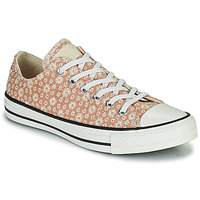 Sapatos Mulher Sapatilhas Converse jack CHUCK TAYLOR ALL STAR CANVAS BRODERIE OX Bege