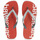 Sapatos Chinelos Havaianas Marca em destaque Vermelho