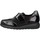 Sapatos Sapatos & Richelieu Pinoso's 7919G Preto