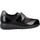 Sapatos Sapatos & Richelieu Pinoso's 7919G Preto