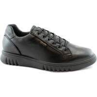 Sapatos Homem Sapatos IgI&CO IGI-I20-6110355-NE Preto